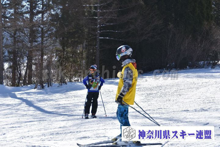 20190119_110707_0.jpg